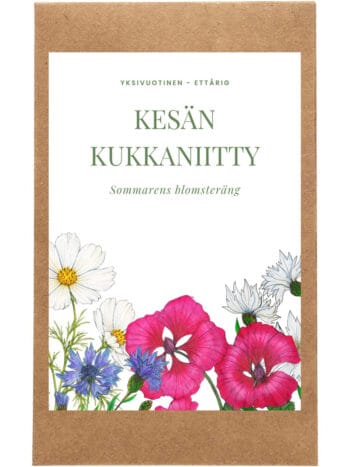 Kesän kukkaniitty