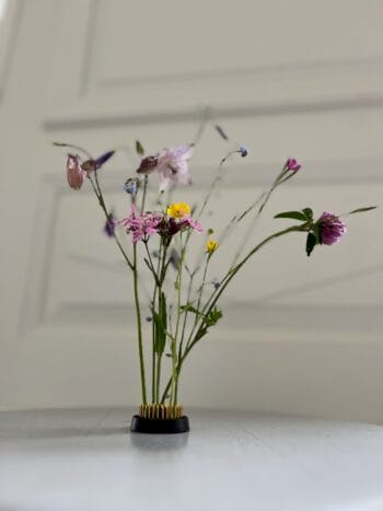 Kukkasiili 40mm, Kenzan