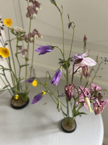 Kukkasiili 60mm, Kenzan