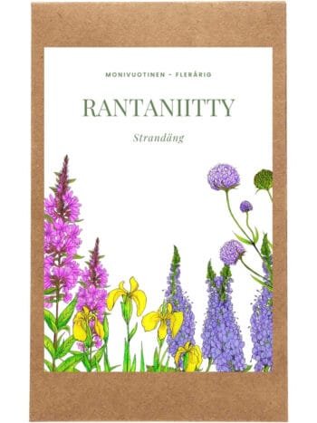 Rantaniitty siemenpussi etupuoli