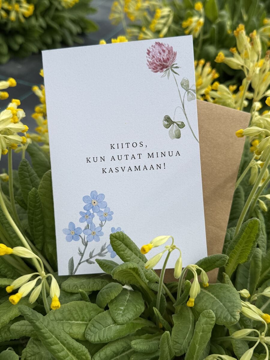 Kiitos Kun Autat Minua Kasvamaan Kortti Ja Siemenpussi Niittysiemen Kiitos Kun Autat Minua Kasvamaan Kortti Ja Siemenpussi Niittysiemen