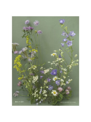 Feed the Bees juliste 30x40 cm limited edition