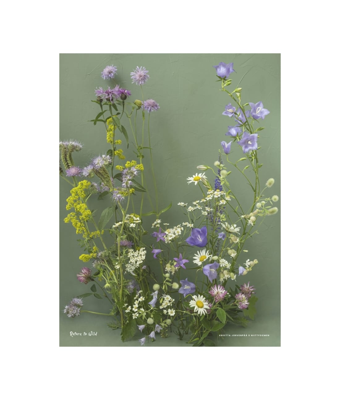 Feed the Bees juliste 30x40 cm limited edition